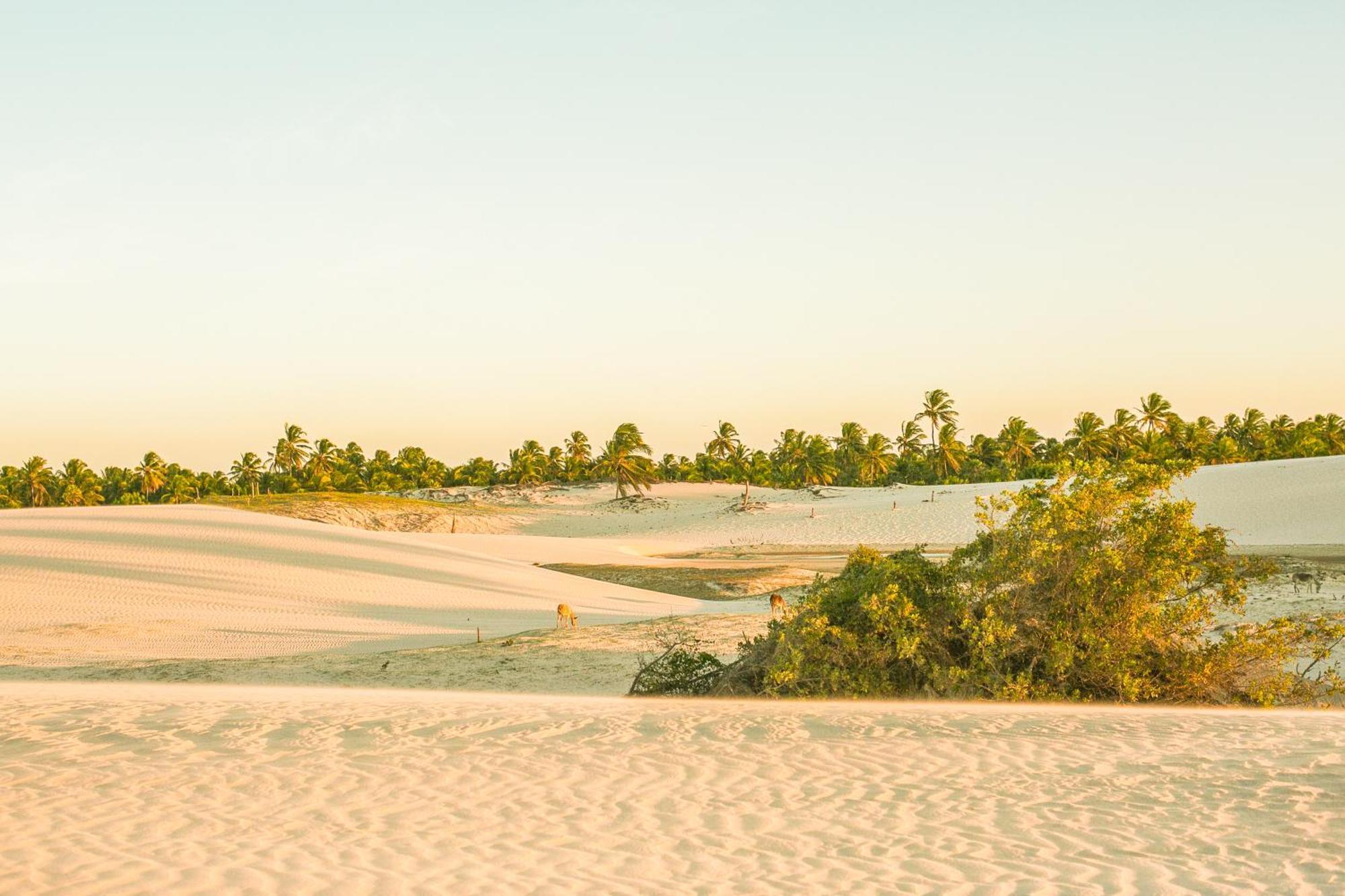 Vila Beiju Barrinha - Frente Mar! Bagian luar foto
